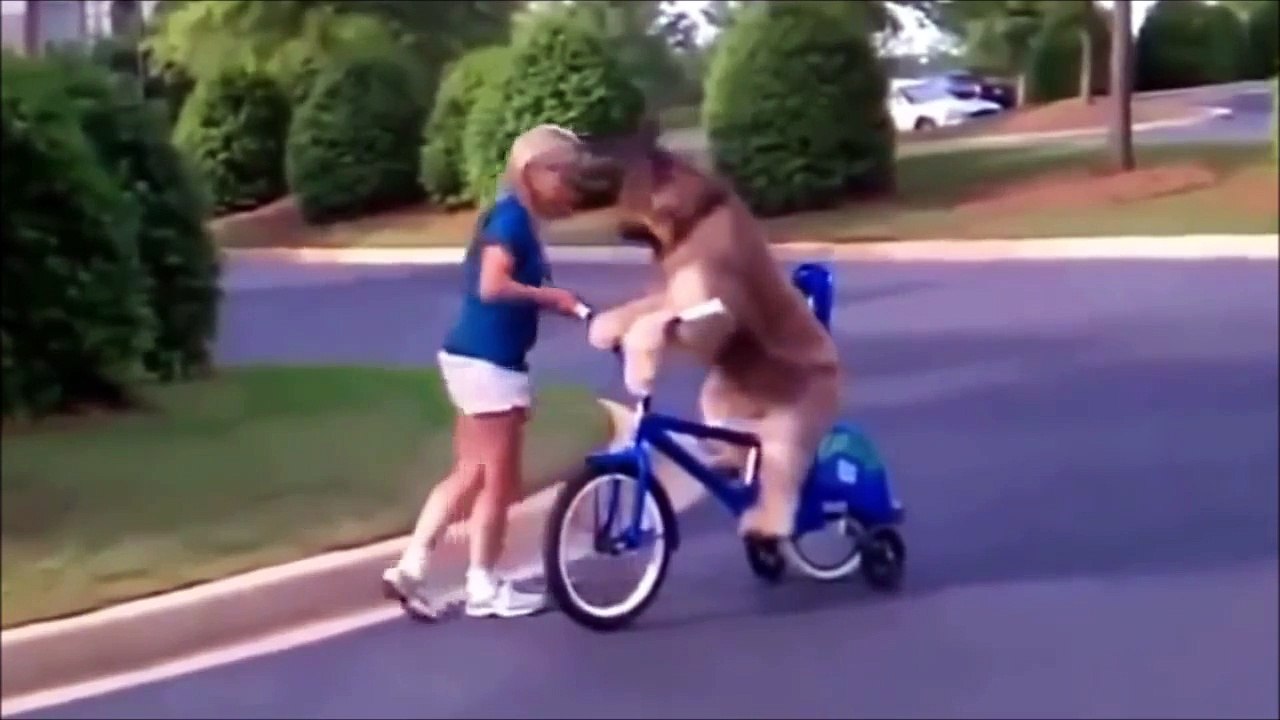 The funniest videos, so you can laugh a lot !!
