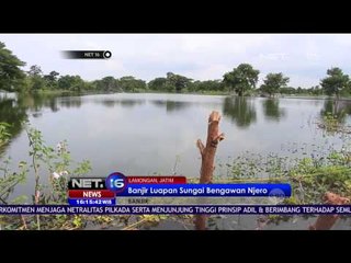 Download Video: Banjir Akibat Luapan Sungai Bengawan Njero, Petani Tambak Merugi Ratusan Juta - NET 16