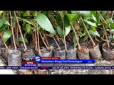 Cegah Bencana, Ratusan Relawan Tanam Pohon dan Buat Biopori di Kabupaten Semarang - NET5