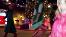 Ёлочные игрушки.Видео поздравление Дед Мороз и снегурочка Наряжаем Ёлку. Christmas Santa C