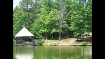 Magnolia Creek Virtual Tour - Birmingham, Alabama