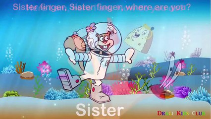 Finger Family SpongeBob SquarePants | Nursery Rhymes for Children & Kids Songs