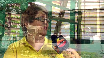 A punto de caerse edificio de escuela Dionisio de Herrera