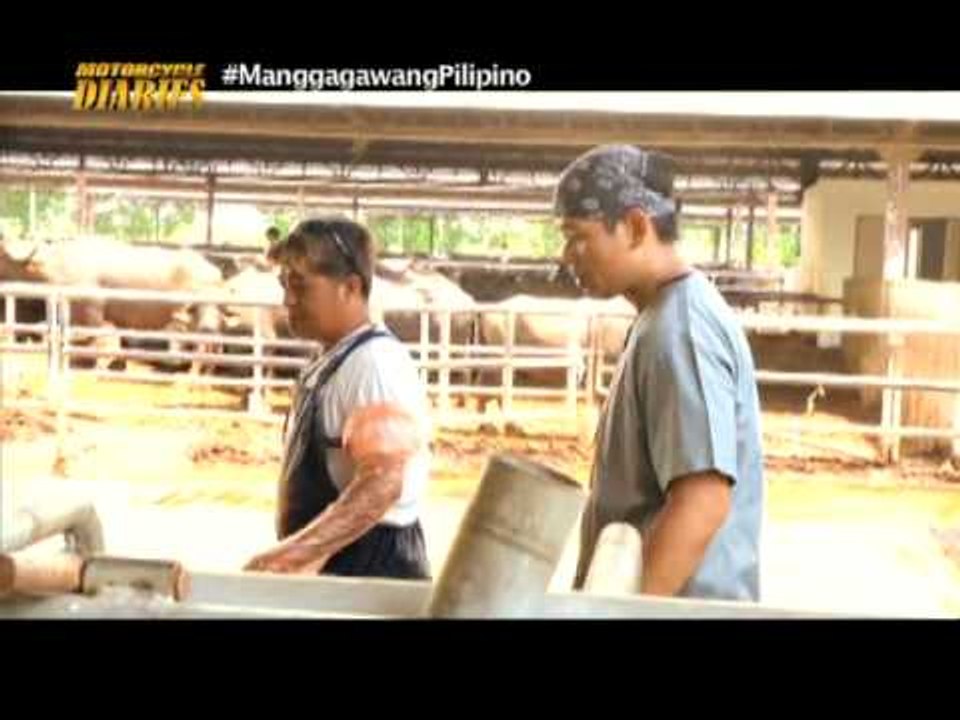 Jay Taruc takes on animal artificial insemination! | Motorcycle Diaries