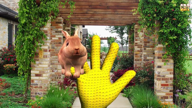 Horse Finger Family Nursery Rhymes For Kids Rhymes | Top Animals Cartoons Finger Family Co