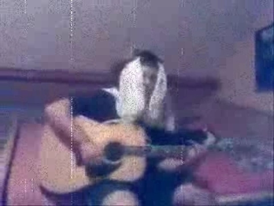 Tokio Hotel (parodie)