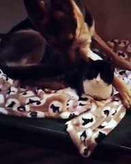 Valentine's Day is everyday for these guys