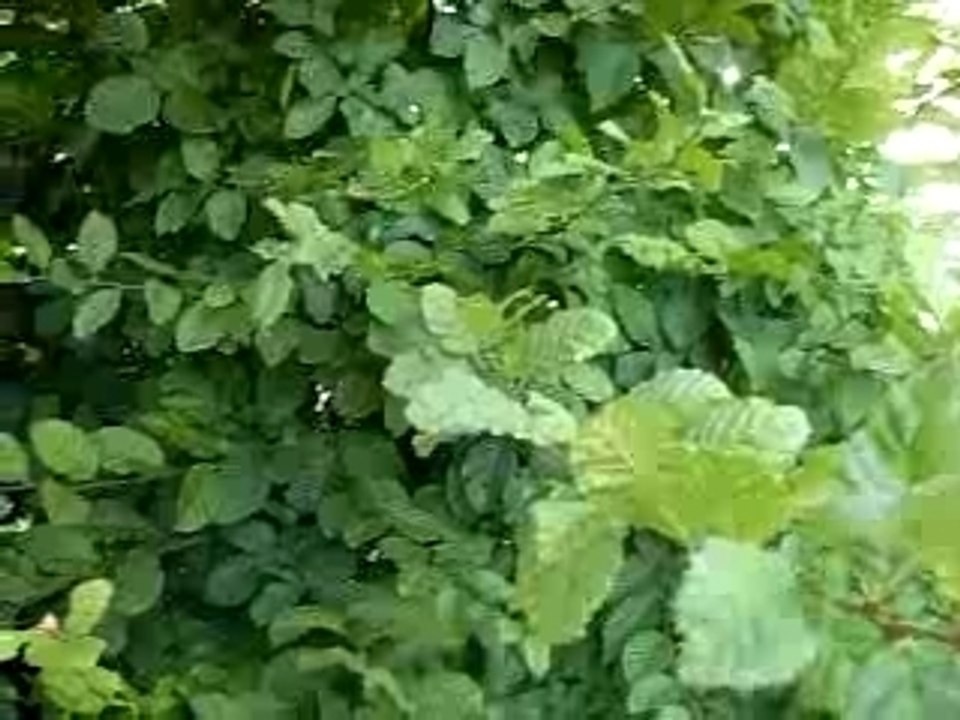 DSCN0407