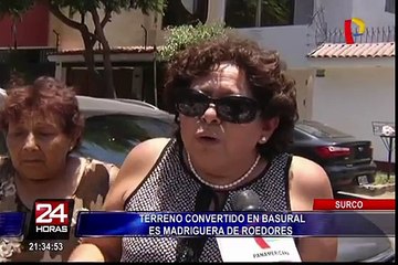 Surco: terreno convertido en basural es madriguera de roedores