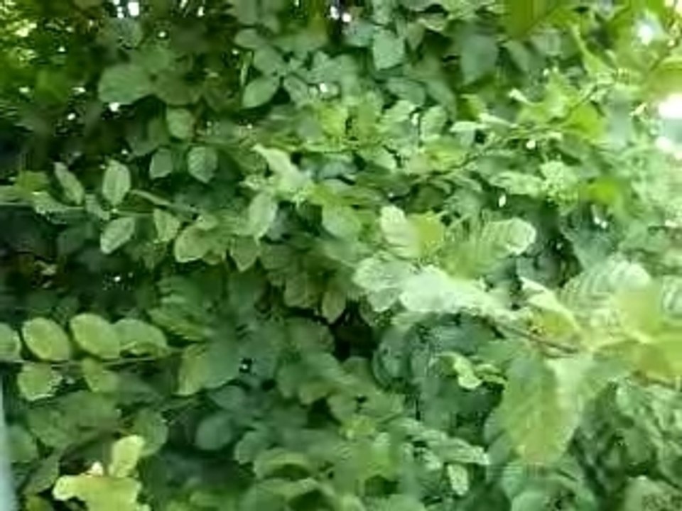DSCN0408