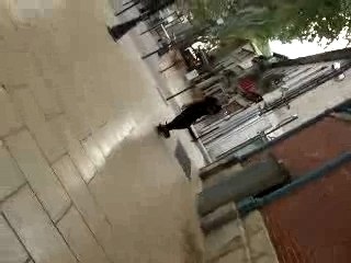 Comme Hamed joli non!