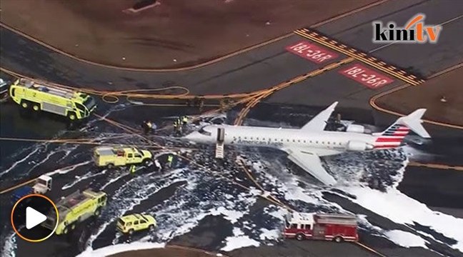 Jet mendarat cemas kerana terlanggar rusa ketika berlepas