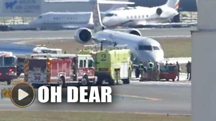 American Eagle jet hits deer on takeoff, returns to airport