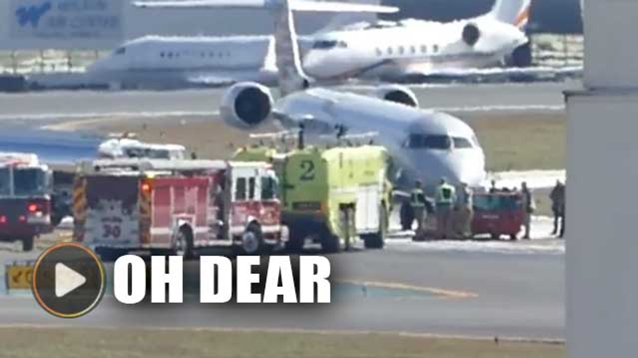 American Eagle jet hits deer on takeoff, returns to airport