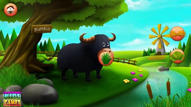 Learn Farm Animals Voices Food Animals Education Video for Children