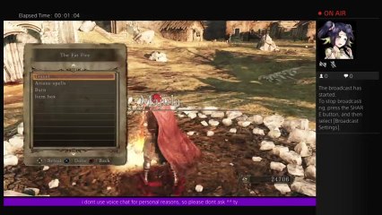 Dark Souls 2: Hi! :D I Made It So Far! XD (36)