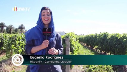 Cámara al Hombro - El hombre que enfrentó a Monsanto