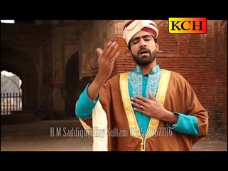EK mein hi nhi un pr Naat by Hafiz Muhammad Sadiq Ziayi Sultani - YouTube