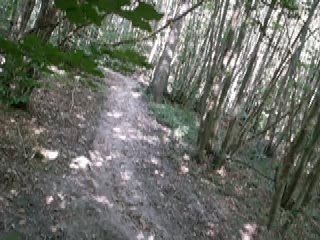 Trailer VTT 78 Section EP1 Full Edit-Net