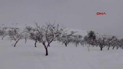Siirt'te Kar, Fıstık Üreticilerinin Yüzlerini Güldürdü