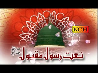 Muhammad aa gye nei Naat by Hafiz Muhammad Sadiq Ziayi Sultani - YouTube