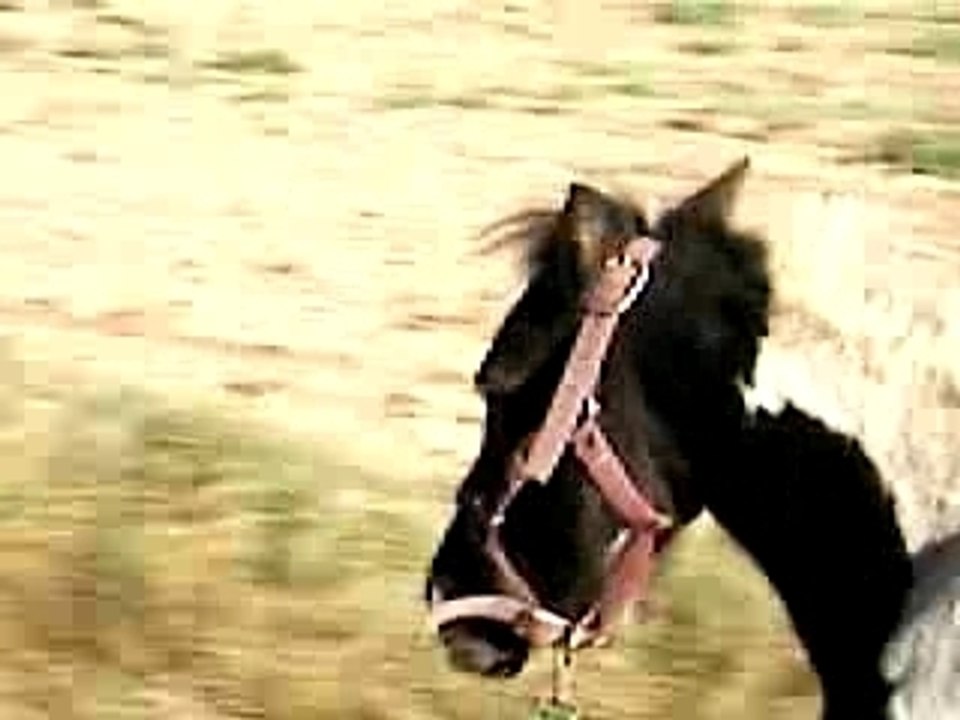 Sept07 ballade 025
