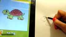 Как нарисовать розовую черепаху для детей Научится рисовать черепаху  Как быстро нарисовать по шагам