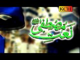 Nabi Sohna aaya aaya Naat by Hafiz Muhammad Sadiq Ziayi Sultani - YouTube