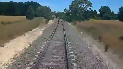 Un motard coincé sur les rails saute au dernier moment alors que sa moto se fait percuter par un train