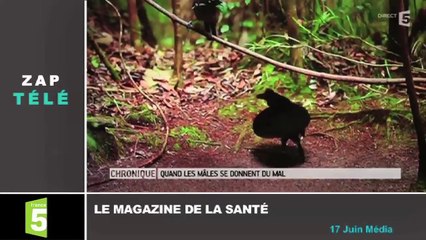 [Zap télé] Un détenu américain cache un hot-dog dans son anus ! (15_02_17)-ZM4LmGmIvxg