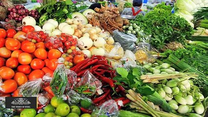 Really Top 10 Herbs for Weight Loss