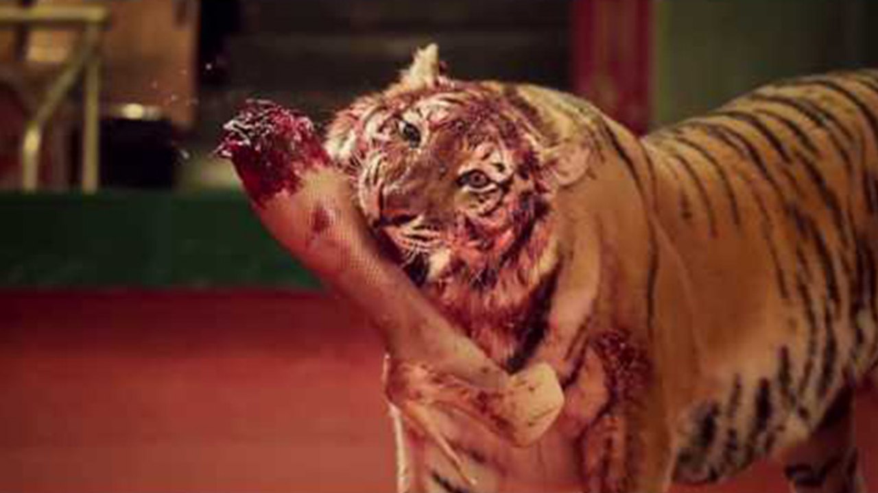 Le nouveau clip déluré du groupe russe Leningrad