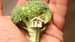 Man Creates Tiny Tree House on Piece of Broccoli