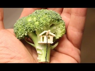 Man Creates Tiny Tree House on Piece of Broccoli