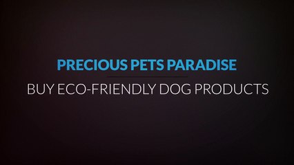Buy Cheap Dog Bed : Precious Pets Paradise