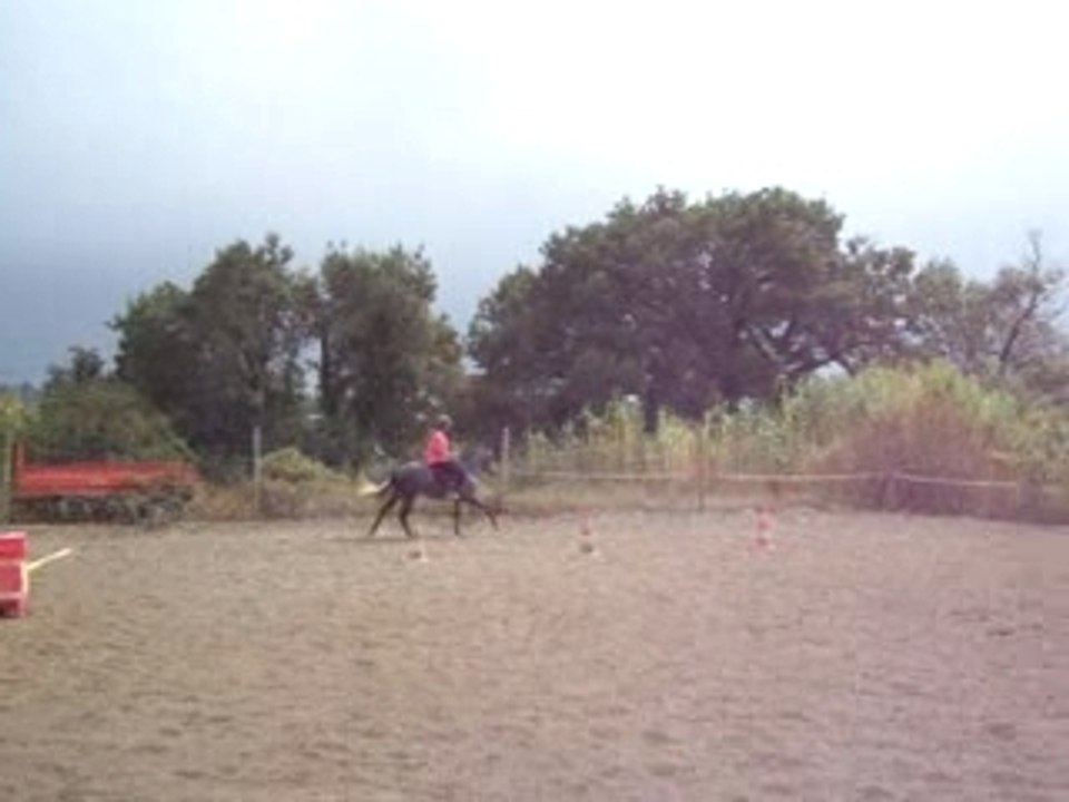 Lana au galop