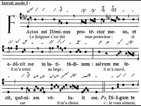 Introitus Factus est Dominus, Dominica VIII TpA (8 TO)