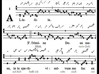 Alleluia Domine Deus meus, Dominica VIII TpA (8 TO)