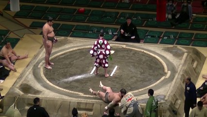 Un sumo mis complètement KO dès le début d'un combat