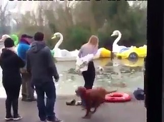 Une jeune femme sauve un chien tombé dans un lac gelé !