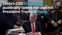 Elon Musk deletes anti-travel ban tweets
