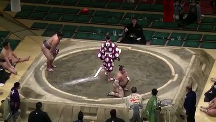 Un K.O. impressionnant lors d'un combat de sumos !