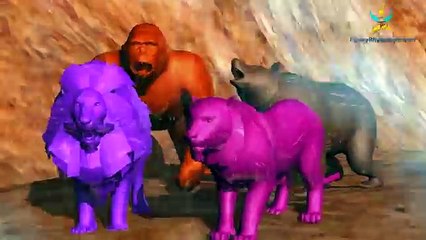 3d Animals Learn colors with Rainbow colors lesson for Nursery Children colors