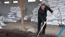 Erzincan Doğuştan Iki Ayrı Göz Rengi Başına Dert Oldu