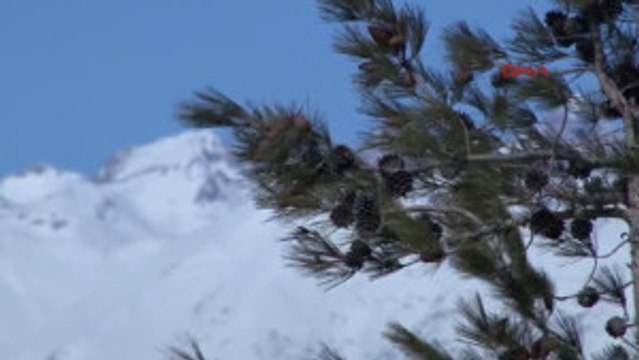 Adana Aladağ'da Faciasında 80 Gündür Yeni Bir Şey Yok 1