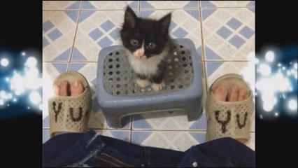 [Vietsub - BL] Du Thử Nhất Sinh - Tập 3