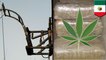 Weed smuggling: Agents find catapult used to hurl marijuana bales over U..S.-Mexico border