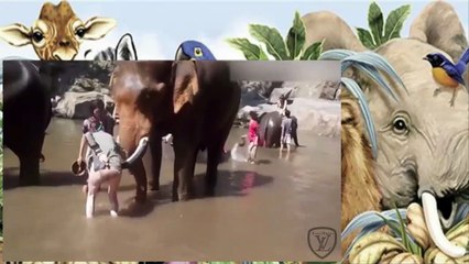 Elefante do mal - Joga Mulher a 3 Metros de altura