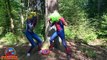 Spiderman Gets Rainbow Hair w/ Captain Spider-man Crown T-Rex & Frozen Elsa Game SHMIRL Superheroes