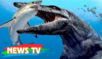 Được ví như "bạo chúa biển cả", đây là kẻ sống sót sau đại tuyệt chủng lớn nhất lịch sử